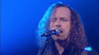 Yukon Blonde - &#39;I Wanna Be Your Man&#39; tve