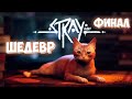 Stray - ЭТО ШЕДЕВР - ФИНАЛ ИГРЫ