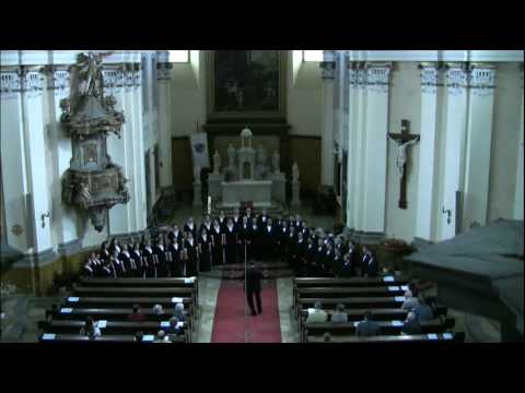 The University of Utah Singers perform "Alleluia" by Ralph Manuel, live in concert on May 18, 2009 in the Roman Catholic Church of Esztergom, Hungary, under the direction of Dr. Brady Allred. Eastern European tour May 11-June 7, 2009