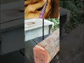 diy tips trick woodworking #woodworking #woodscraft #wood #classicwood #diy #shorts