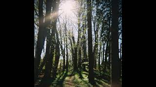 Download Lagu FORANKRING - Daggry [2020 / Full Album] MP3