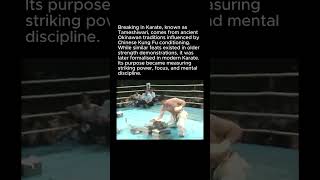 Karate Breaking is an Amazing Display of Power, Focus, Accuracy and Mental Toughness.