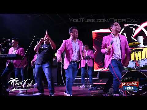 Cumbia De Los Pajaritos- Alcalde La Sonora en vivo tour 2024