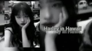 Harley in Hawaii (slowed+aesthetic) 