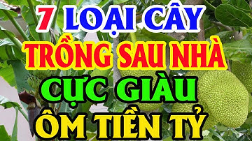 Lén TRỒNG CÂY NÀY SAU NHÀ Tiền Bạc Kéo Vào Ầm Ầm Đếm Không Xuể, Giàu Sang 3 Đời | Tử Vi Tài Lộc