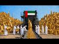 Inside Dubai’s Mega Gold Factory: How 10 Tons of 24K Gold Are Made Daily | Full Process