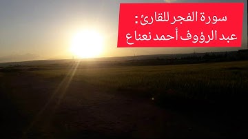سورة الفجر للقارئ : عبد الرؤوف أحمد نعناع