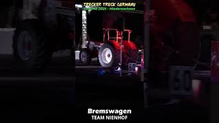 IHC 1246 (2) - Trecker Treck Damme  #treckertreck #tractorpulling #norddeutschland