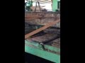 Figured Log being sawn Figured Log being sawn