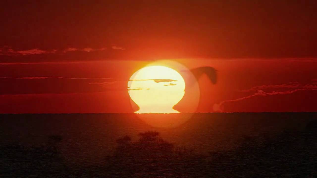 海鷗 。Hai O 。Seagull 。An Uncle James & Michiko Collaboration 。 auf YouTube ansehen 海鷗 。Hai O 。Seagull 。An Uncle James & Michiko Collaboration 。 auf YouTube ansehen