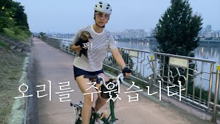 자전거 타다가 오리를 주웠습니다 | 새줍 | 한국조류보호협회