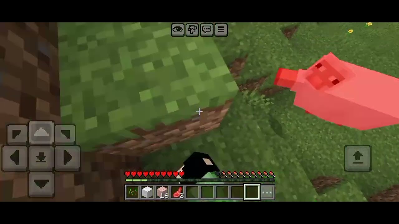 SquadCraft episódio 1