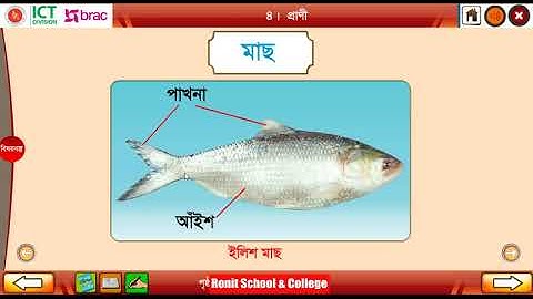 Class 3 Science  Chapter 2 Part 3 ।। তৃতীয় শ্রেণি প্রাথমিক বিজ্ঞান অধ্যায় ২ পাঠ ৩