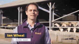Our vision for the livestock industry - Breedr