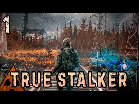 Видео: Абсолютно Другой Сталкер - TRUE STALKER #1