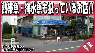 東京サンマリン 江戸川区で海水魚も扱っている大型店 Youtube
