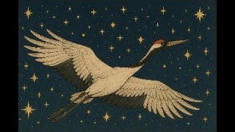 práctica 29 de septiembre