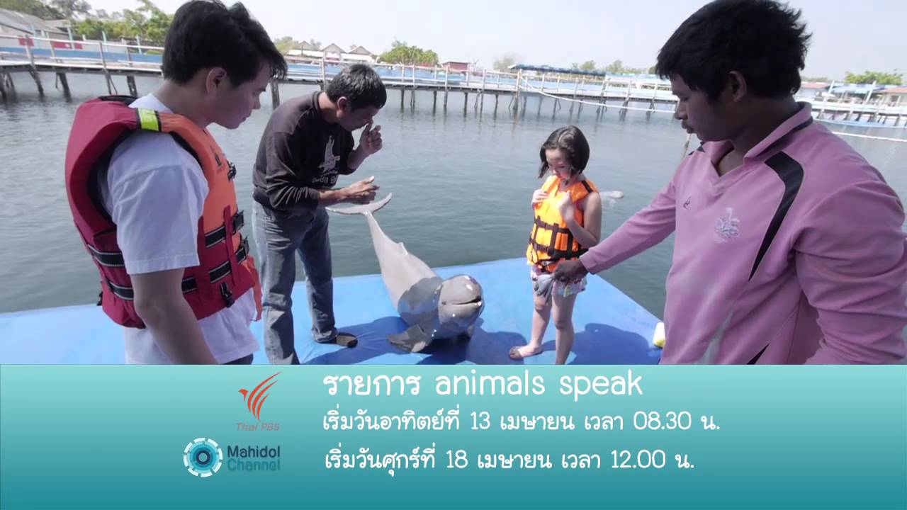 (PV) เพราะสัตว์พูดไม่ได้ ถึงต้องมี Animals Speak 13 เมษายนนี้ พบกันทาง Thai PBS