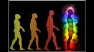 Must Watch! - 4 Levels of Consciousness (What Level Are You On?)