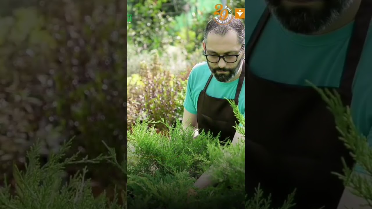 ‪@vishalprojects8215‬