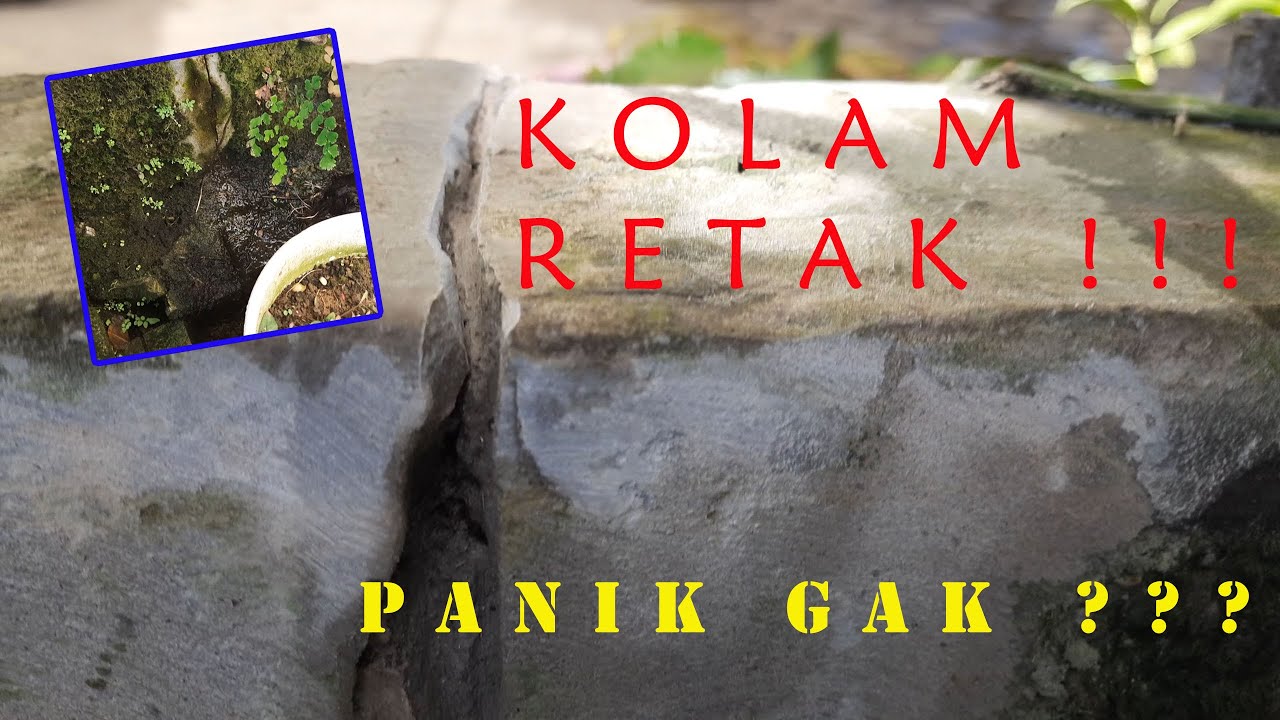 TIPS MENAMBAL KOLAM RETAK BERULANG