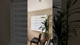 Day &amp; Night Blinds