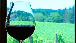 The Art of Blending Wines: From Barrel to Bottle