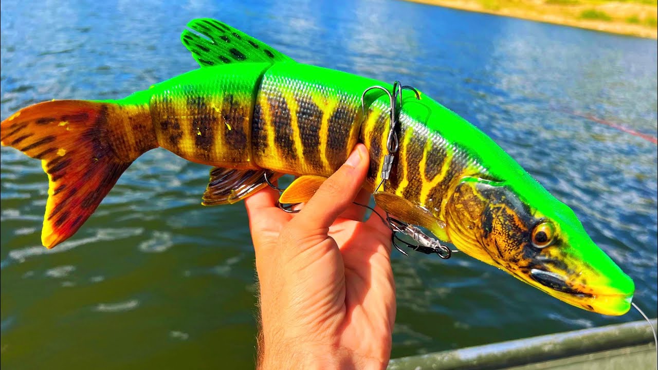 DO YOU EVEN SWIMBAIT, BRO? (New PB)