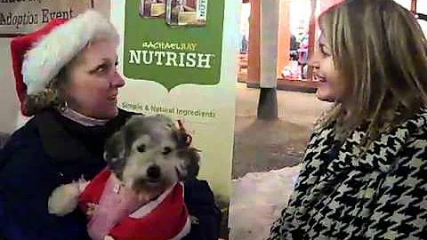 Margaret McSweeney interviews Janice Triptow of Chicago Canine Rescue