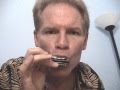 blues harmonica tone and vibrato