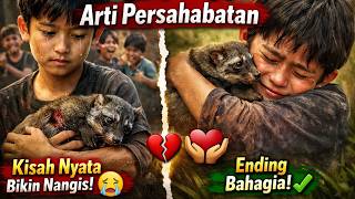 Musang yang mengajariku arti persahabatan