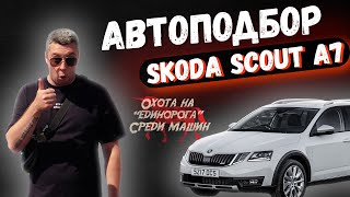 🚗 Подбор Skoda Octavia Scout А7: Охота на "единорога" среди авто