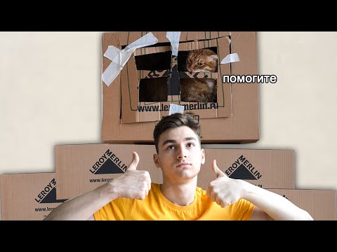 Видео: Я построил ГИГАНТСКИЙ картонный домик для кота :]