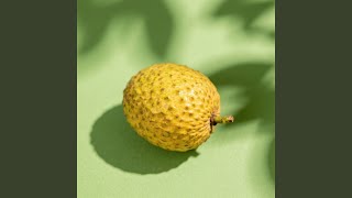 Dunia Tanpa Sinar Jiwa