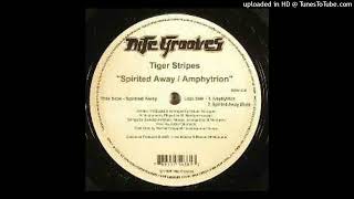 [Deep House] Tiger Stripes - Spirited away (Original)