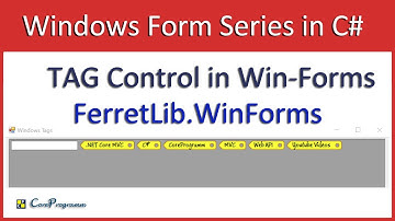 Windows Forms: TAG Control in C# | CoreProgramm