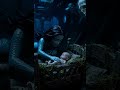 the cradle of the mermaid and her ghosts