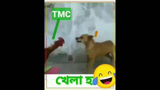 Khela Hobe TMC vs BJP comedy cock vs dog fight video /please Like ??