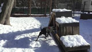 SPCA-TV Breaking News Update: Deflate Gate
