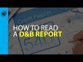 How to Read Your Dun & Bradstreet Business Credit Report LIVESTREAM