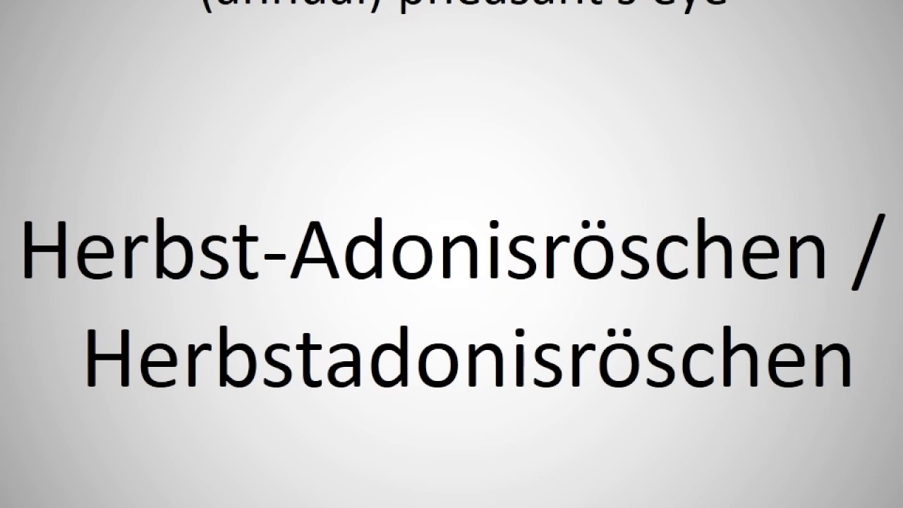 How To Say annual Pheasant s Eye In German YouTube How To Say annual Pheasant s Eye In German YouTube
