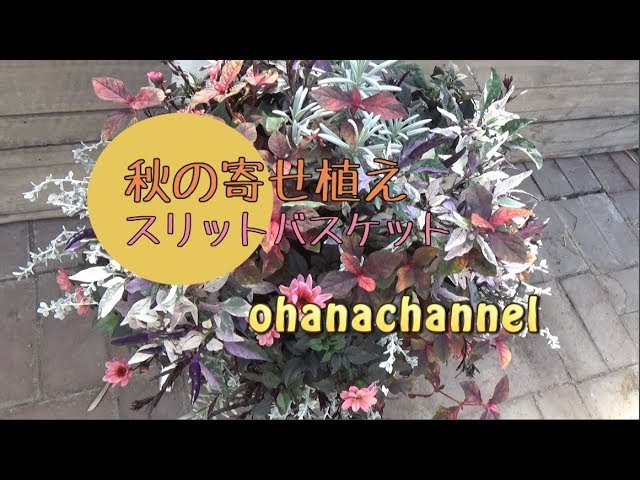 Autumn Hanging Basket - YouTube