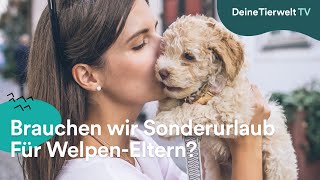 Brauchen Wir Sonderurlaub Für Welpen-Eltern?
