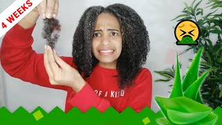 Taking Out my 4 Weeks Old Cornrows After Using ALOE VERA For EXTREME HAIR GROWTH 😱