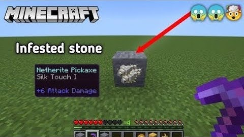 Can you get infested stone with silk touch..🤔