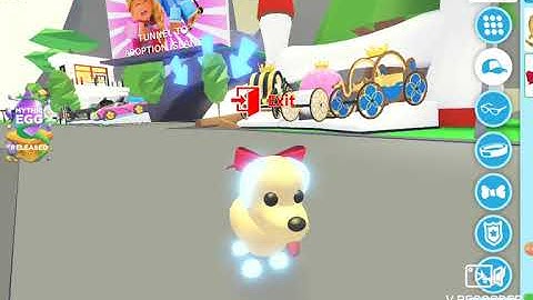 CONTAINER HOUSE SPEED BUILD PART 2