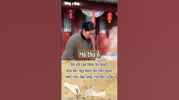 🔴 Hà thủ ô |Bổ can thận, bổ huyết, đen tóc, ngủ kém, da mẩn ngứa | Đông Y Bình | Châm cứu bấm huyệt