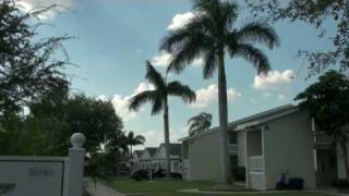 IMGã¢ã«ããã¼