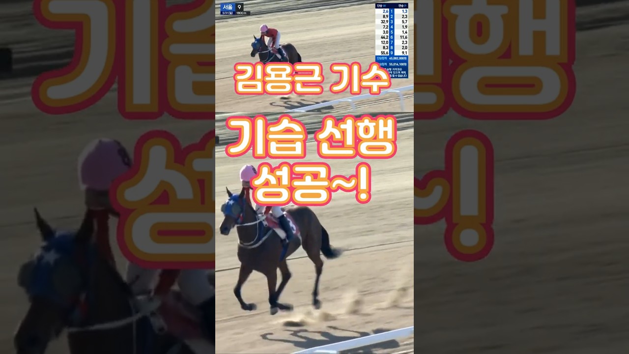 캐나다産 경주마의 질주🐎김용근 기수💥기습 선행 성공?💕오늘의 하이라이트💕다크호스경마⚡경마예상👌경마🎈경마장😊경마방송🐎경마예상방송🫏경마하이라이트🥎경마예상 실시간🚩경마예상가🏐경마정보