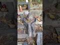 Secret Shiv Temple #shiva #hinduism #hindugod #hindutemple #indianvlogger #hongkong